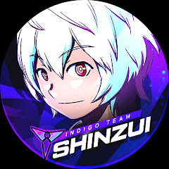 Shinzui IT