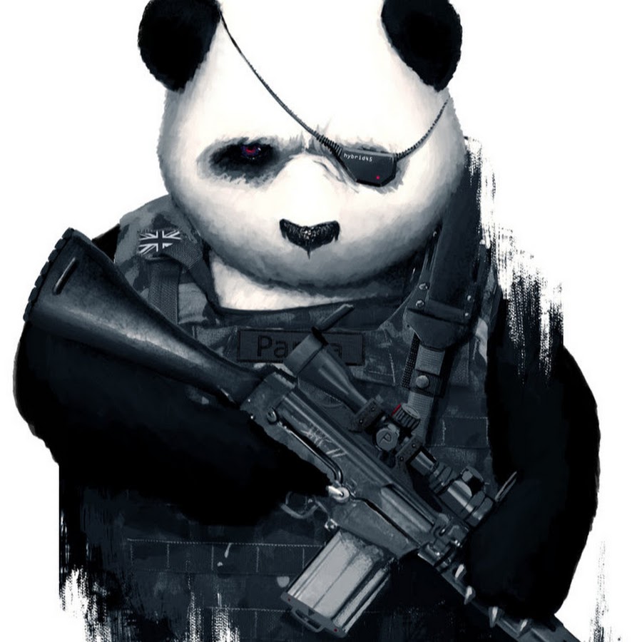 Панда в военной форме
