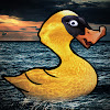 WaterFowlStudio
