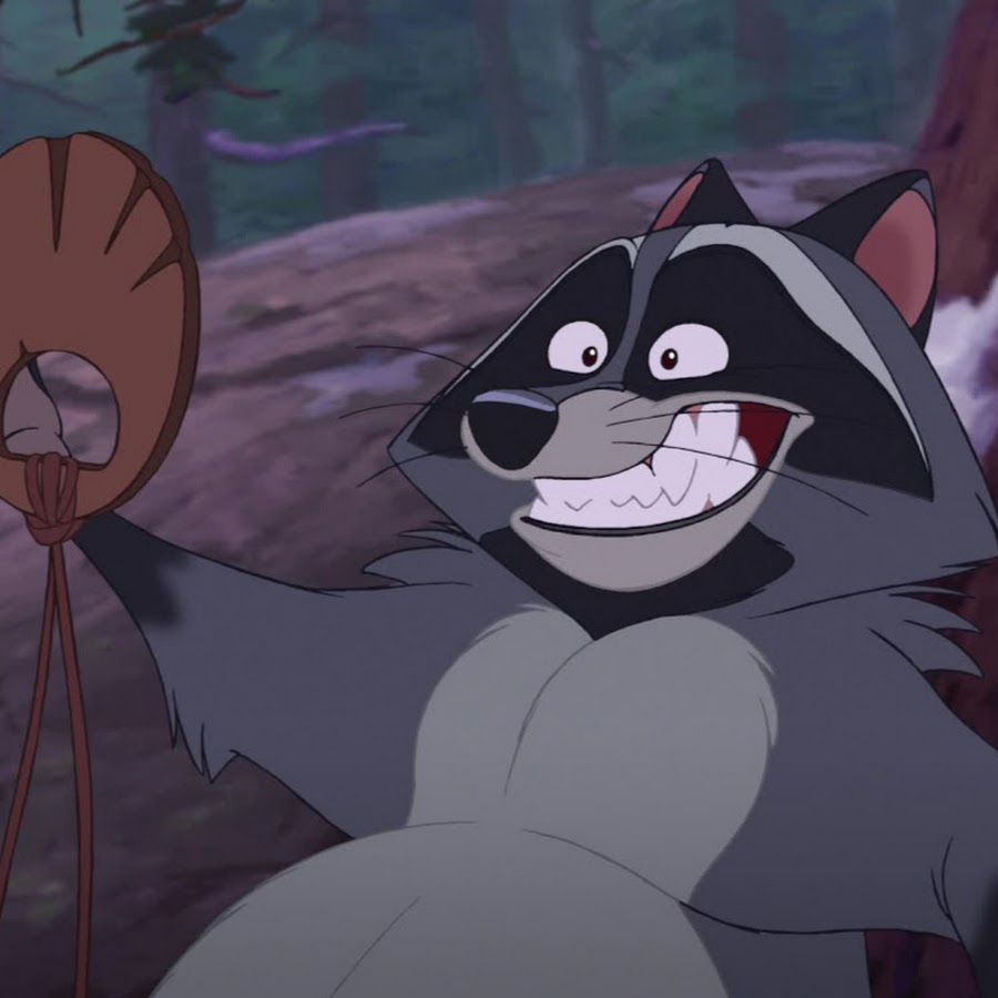 Енотики мультфильм картинки