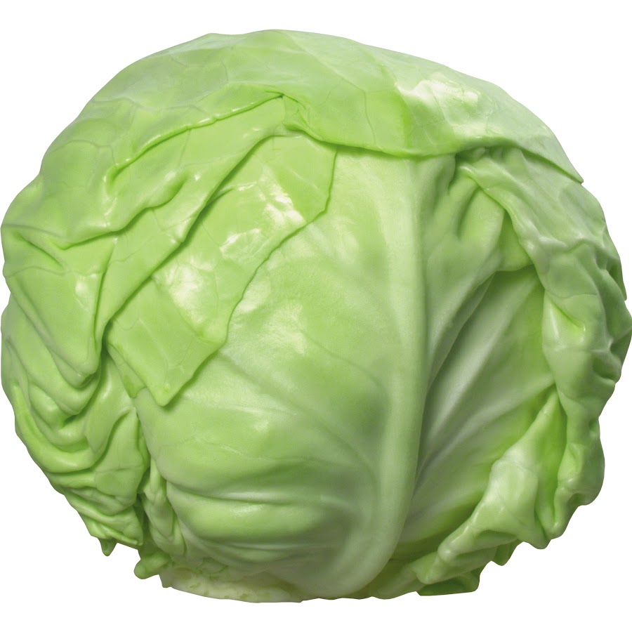 Cabbage YouTube