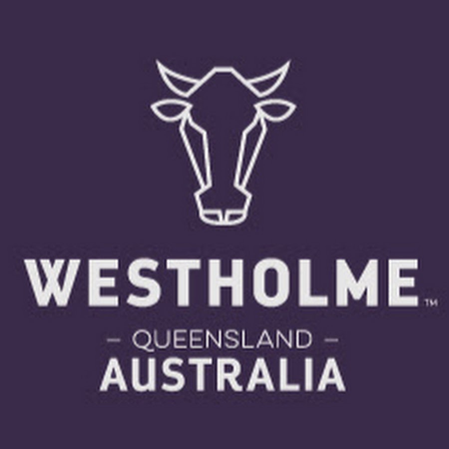 Westholme beef YouTube