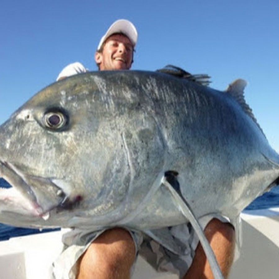 Увидеть во сне рыбу пойманную. Видеть во сне что поймал рыбу. К чему снится ловля рыбы толкование. Женщина с кучей рыбы. Рыба на удочке.