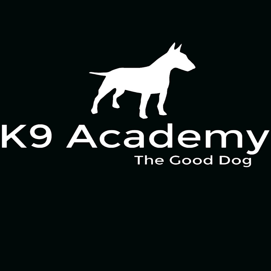 K9 Academy YouTube