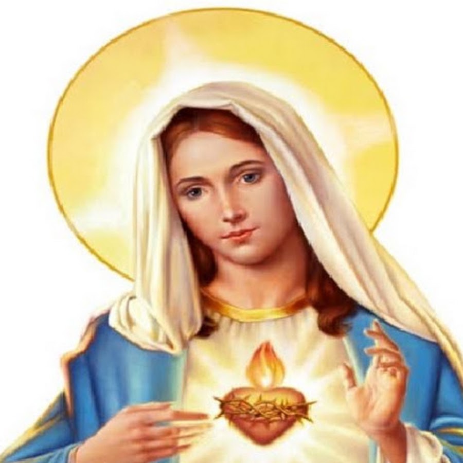 Mary Immaculate Quakers Hill Schofields YouTube