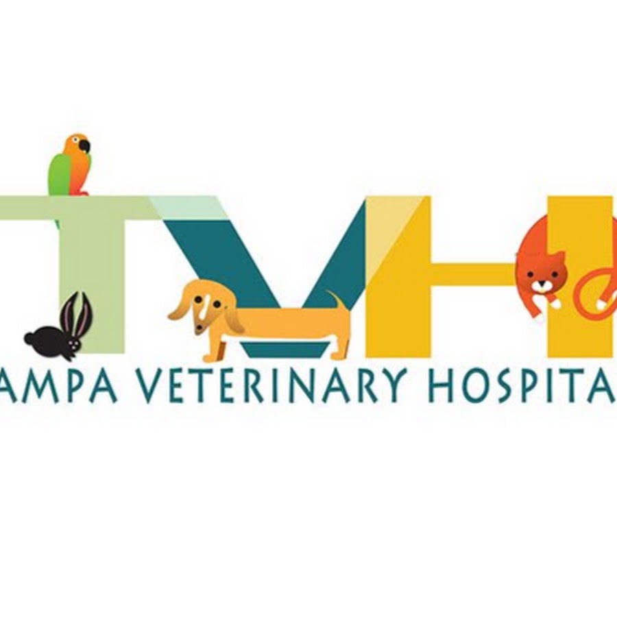 Tampa Veterinary Hospital YouTube