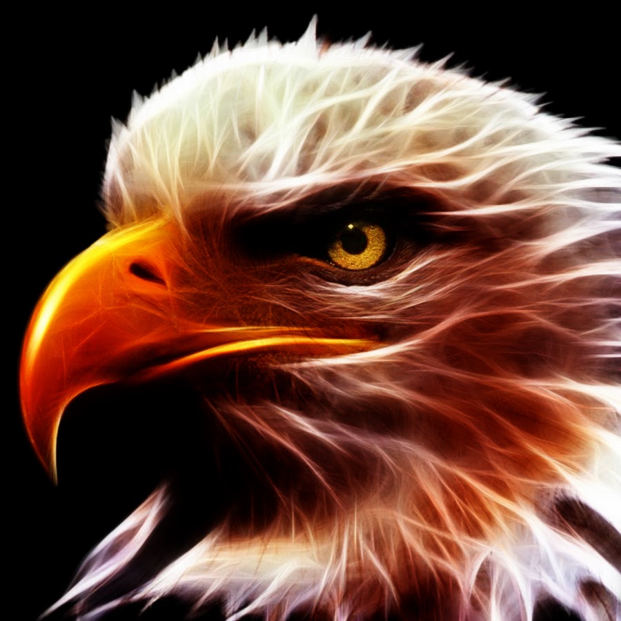 Electric Eagle Gaming YouTube