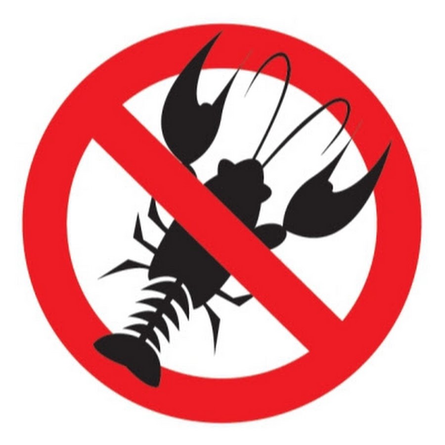 Проработка рака. Ракообразные. Лобстер графика. Интересное про знаки зодиака. Красный лобстер.