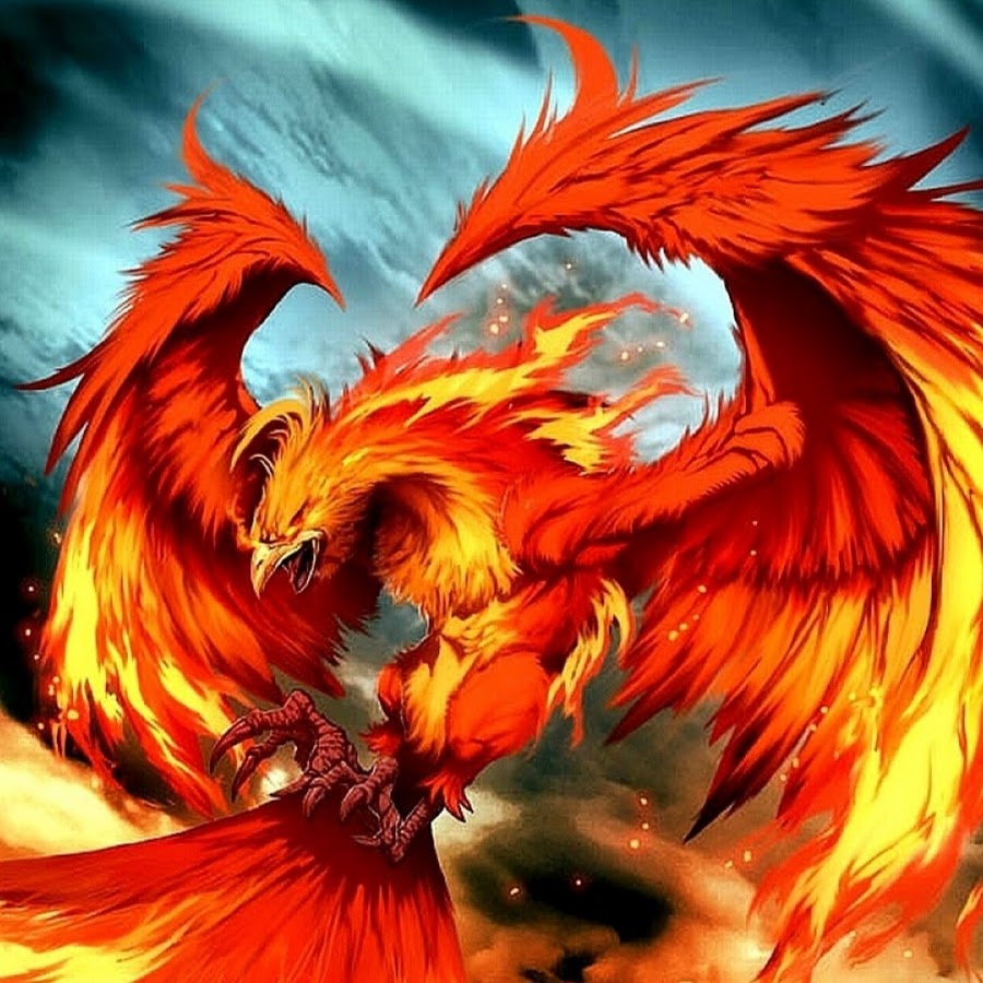 логотип крематорий и феникс. феникс 13. колледж феникс. феникс лучшие рисунки. феникс 13.