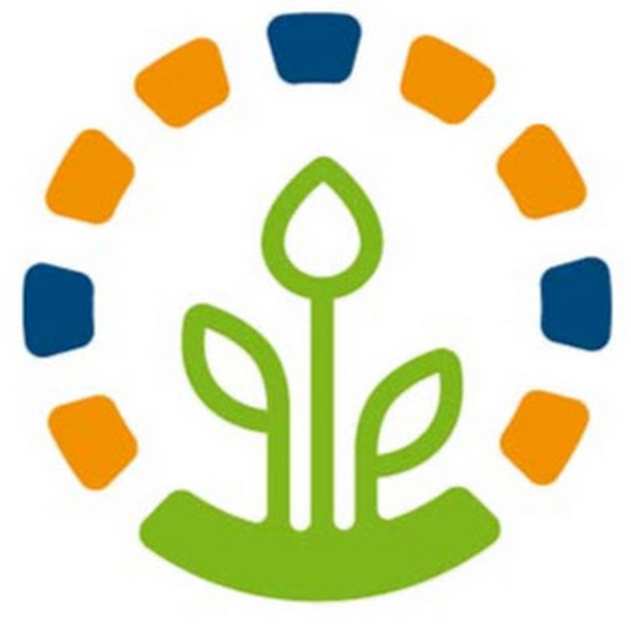 Арабидопсис проросток. Этапы роста цветка. Grow development. Grow development. Рост растений.