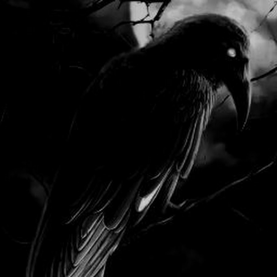 Зловещий ворон. Темный ворон. Crow steam. Ворона. Ворон с красными глазами.