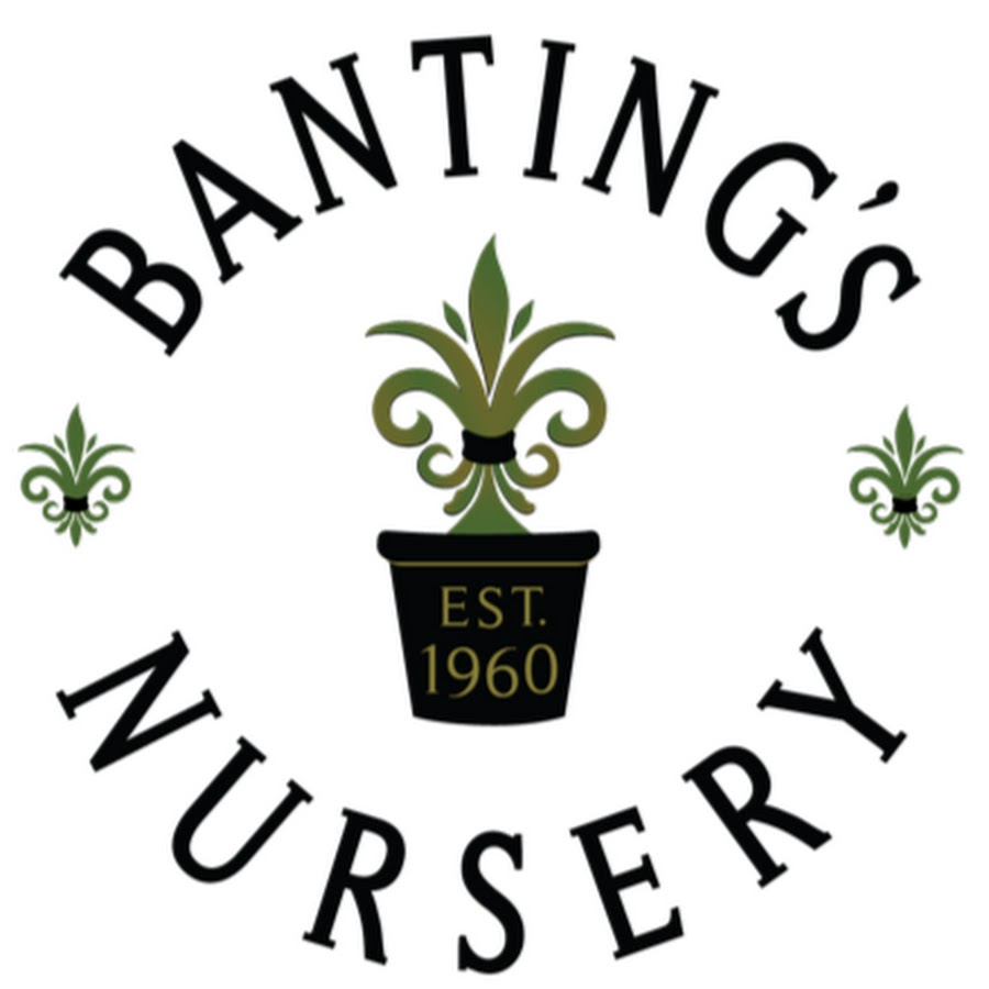 Banting's Nursery - YouTube