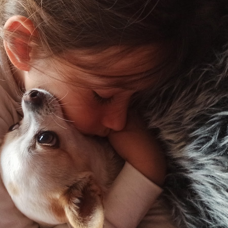 Oyunlar Oyna YouTube