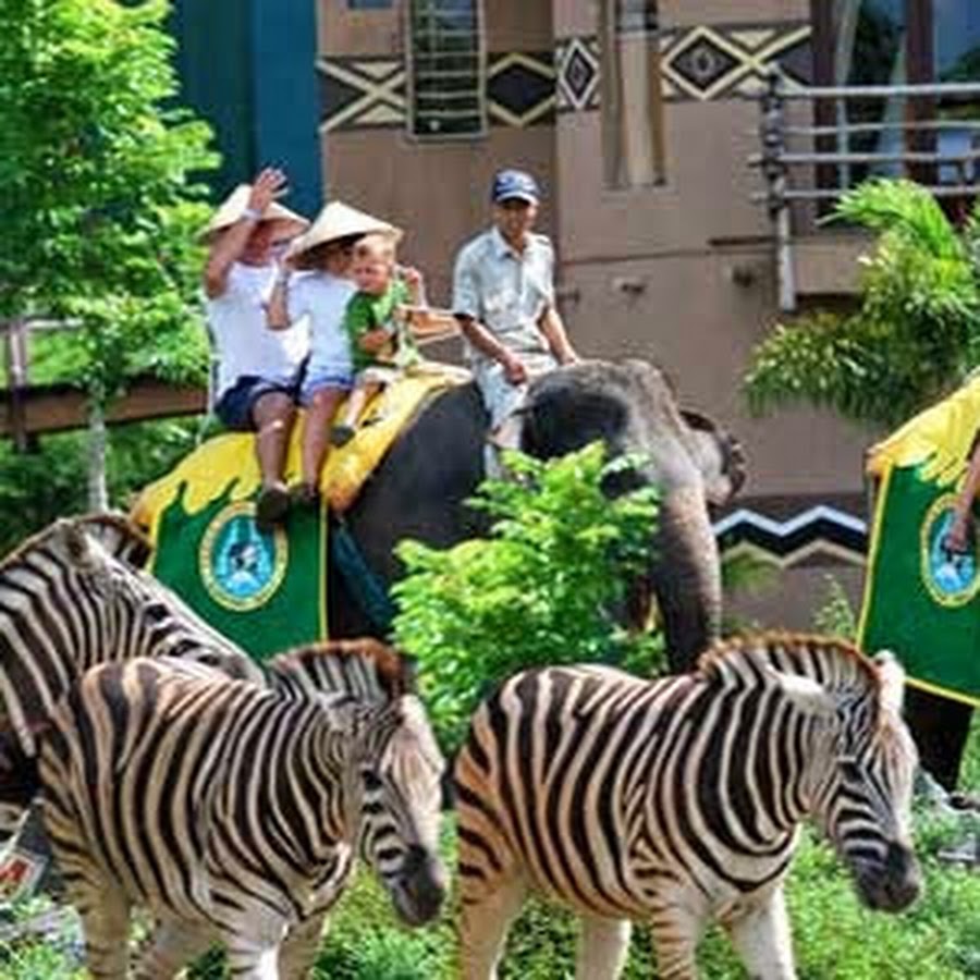 Bali Safari Marine Park - YouTube