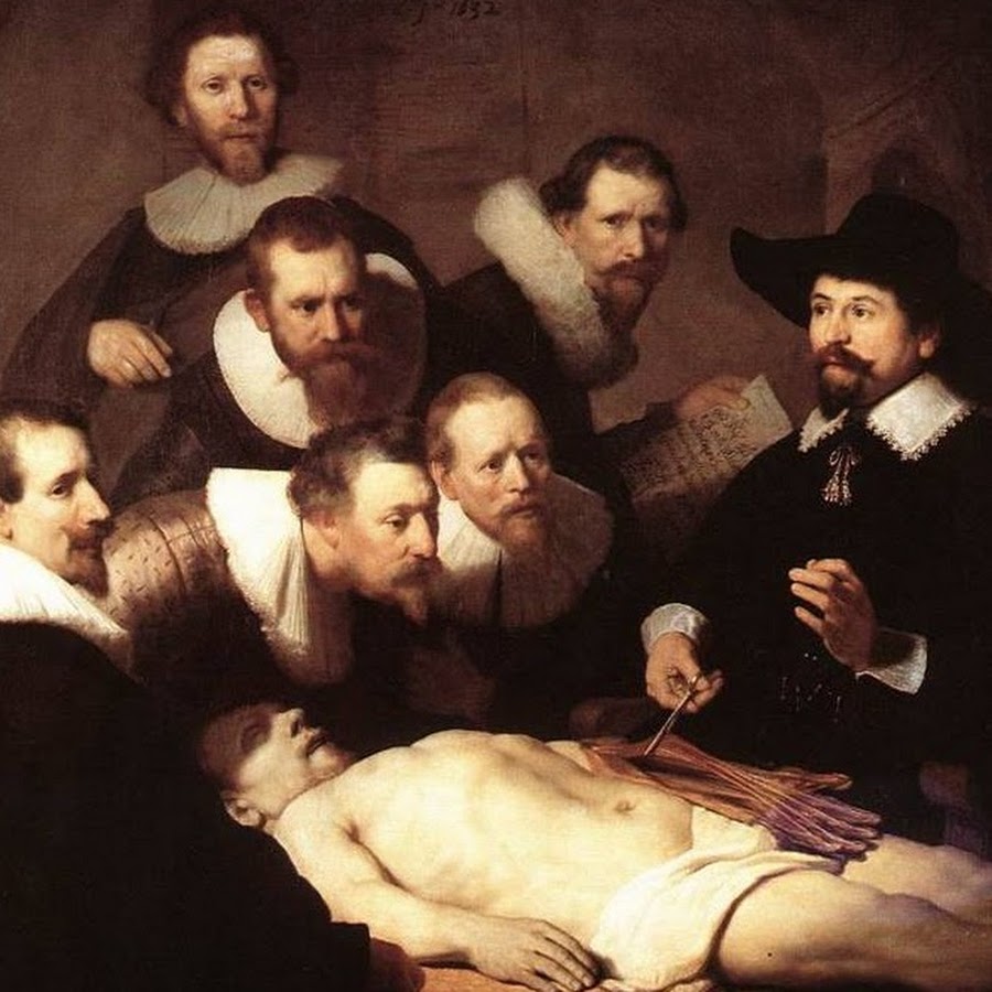 Human Anatomy Education - YouTube