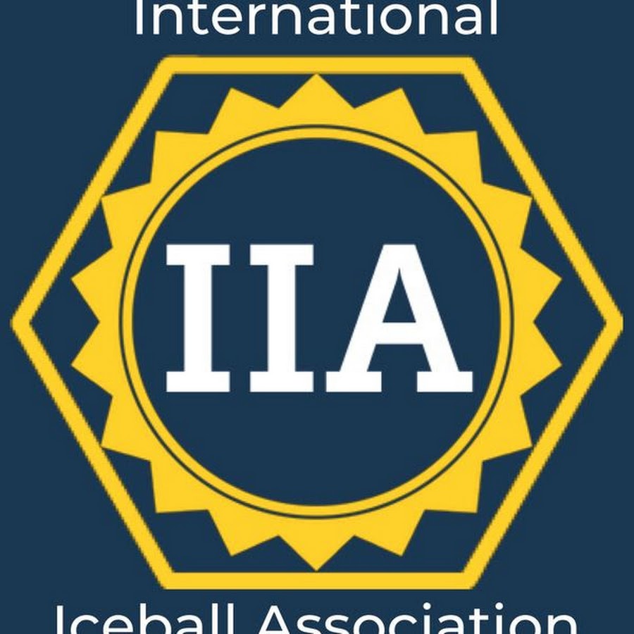 IIA-IAP Deutsche Prüfungsfragen