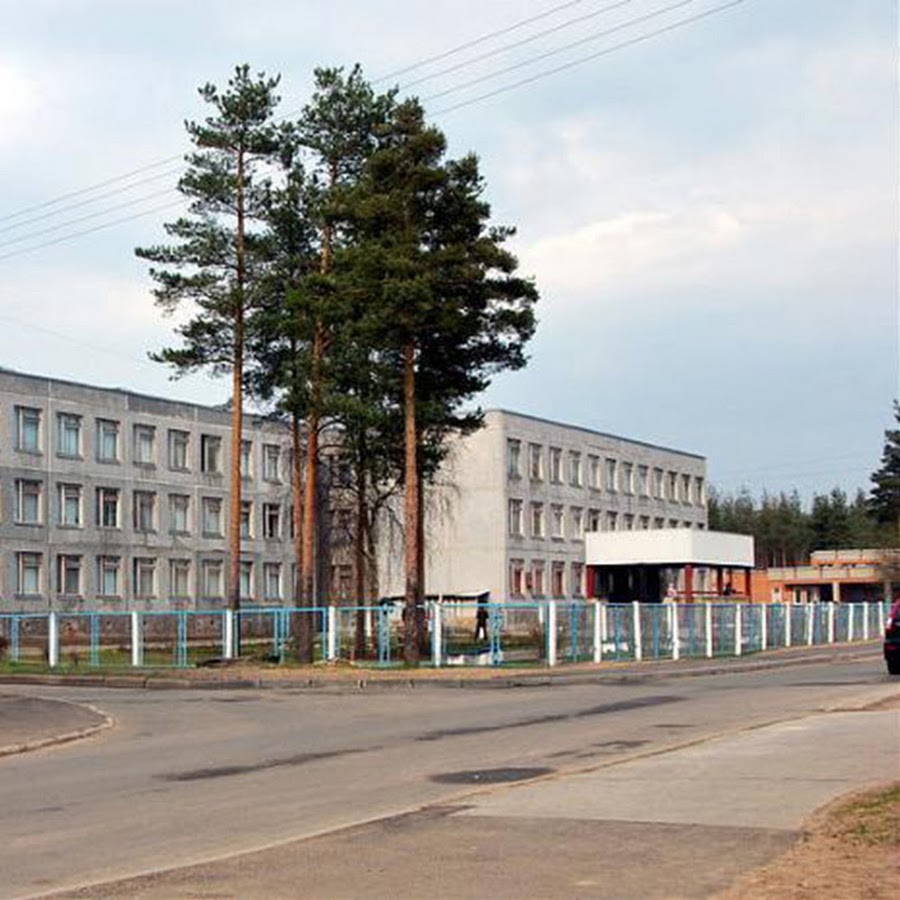 кингисеппская гимназия 7. кингисеппская гимназия 7. школа номер 7 кингисепп. кингисеппская гимназия директор. кингисеппская гимназия 7.