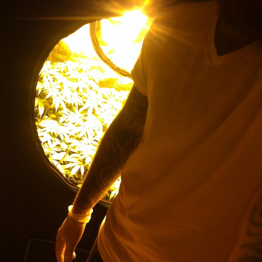 Canada Cali Tree - YouTube