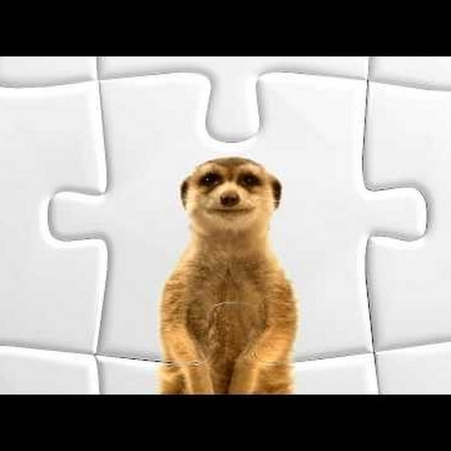 telusadmirer 