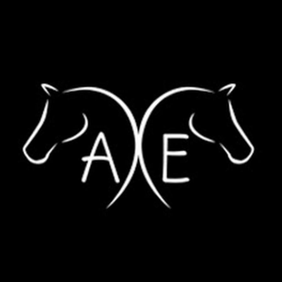 Anatomy-of-the-Equine - YouTube