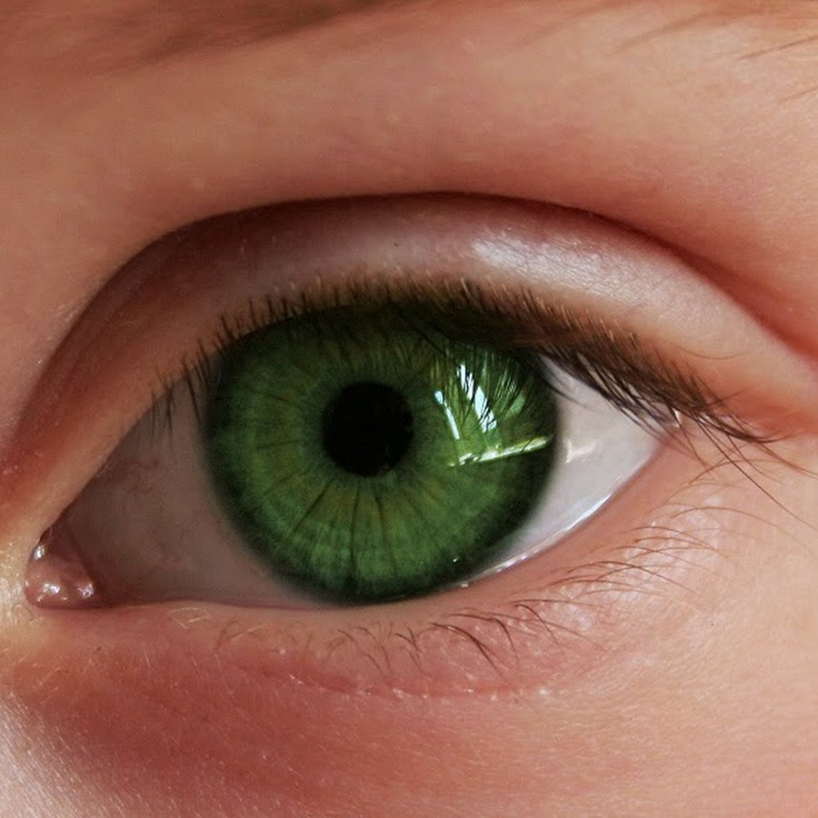 Как появился зеленый цвет. Зеленые линзы. Болотно зеленые глаза. Салатовый цвет глаз. Болотный цвет глаз.