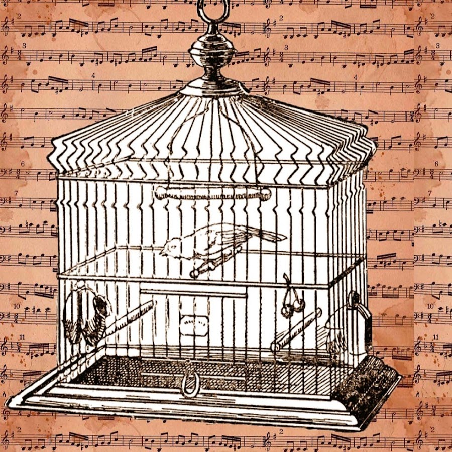 Викторианская клетка для птиц. Старинная Птичья клетка. Клетка с птицей Винтажные рисунки. Клетка метка