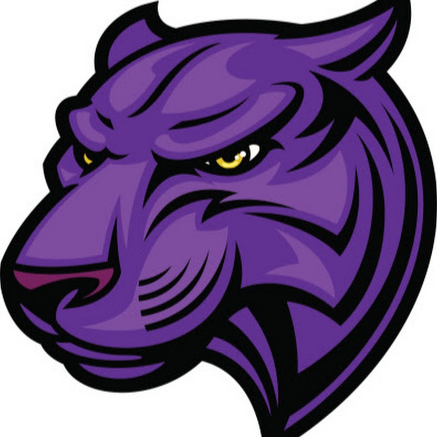 Purple panther. Черный гепард. Пурпурная пантера. Пурпурная пантера. Фиолетовый фантастический леопард.