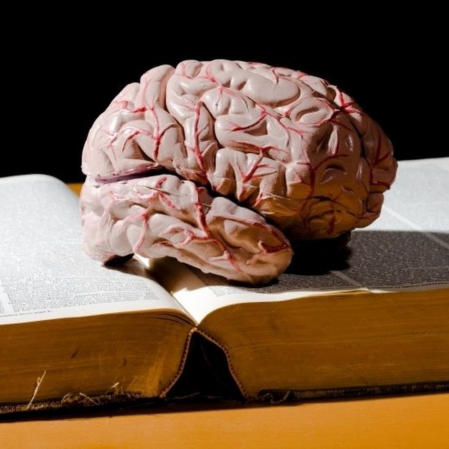 Book brain. Книга мозг. Мозг с книжкой. Чтение и мозг. Мозг из книг.