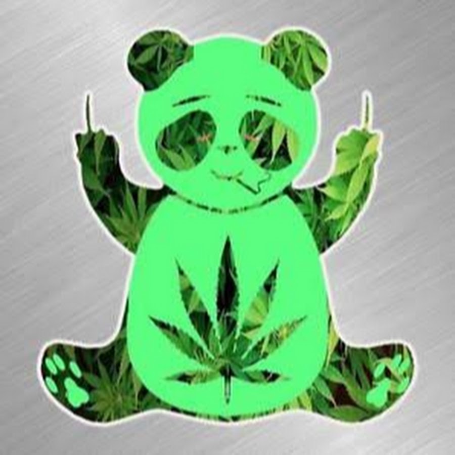Панда с марихуаной отзывы hydra onion гирда