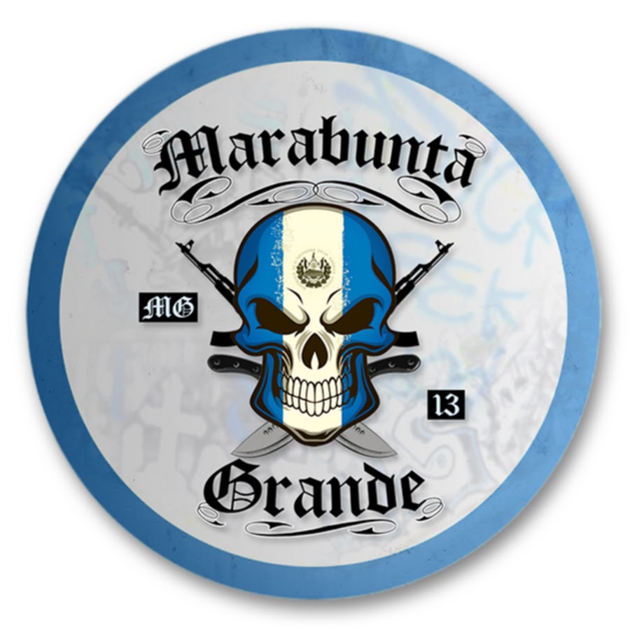 AATXAJxGuXibyOKTSBZdnv12ARcpwNx1wc08JqHVXQ=s900-c-k-c0xffffffff-no-rj-mo