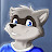 Rabid Raccoon avatar