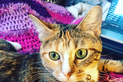 Lyric Beyond The Pole Instagram