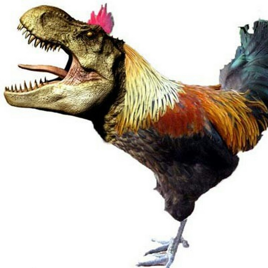 AATXAJxH_nFenagpVQ1xS2iWD4I6t9qHp6O1iUZ5I3o7=s900-c-k-c0xffffffff-no-rj-mo