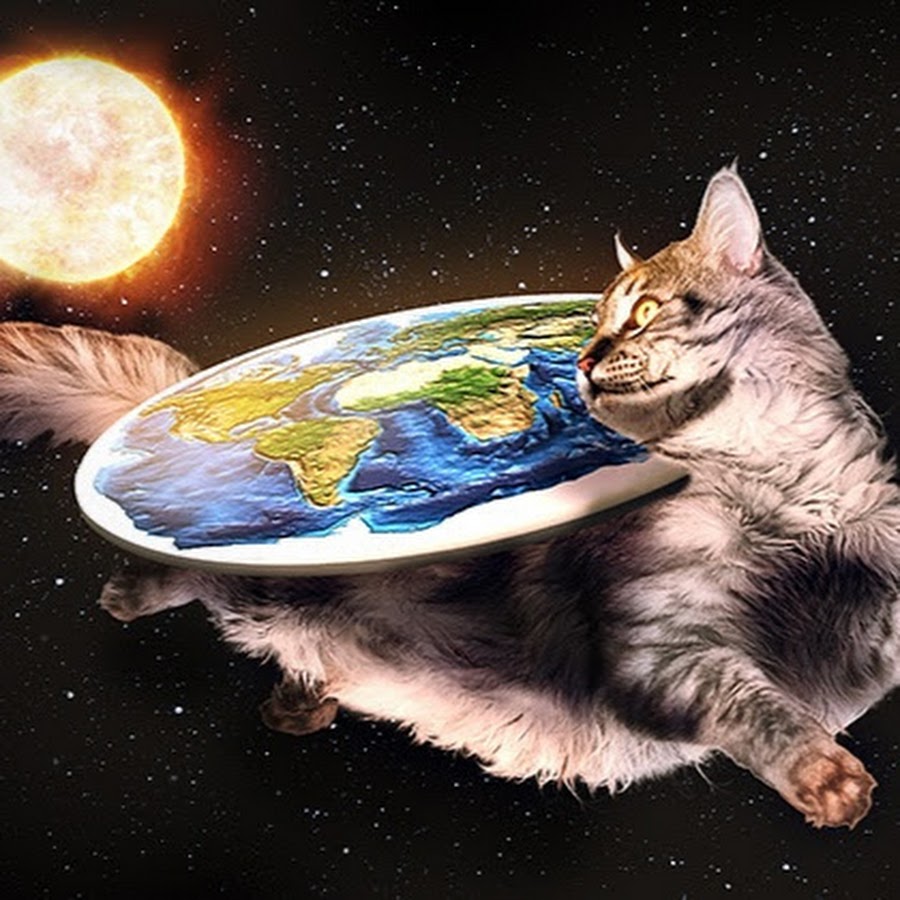 CAT EARTH YouTube
