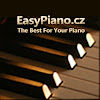 What could EasyPiano.cz buy with $100 thousand?