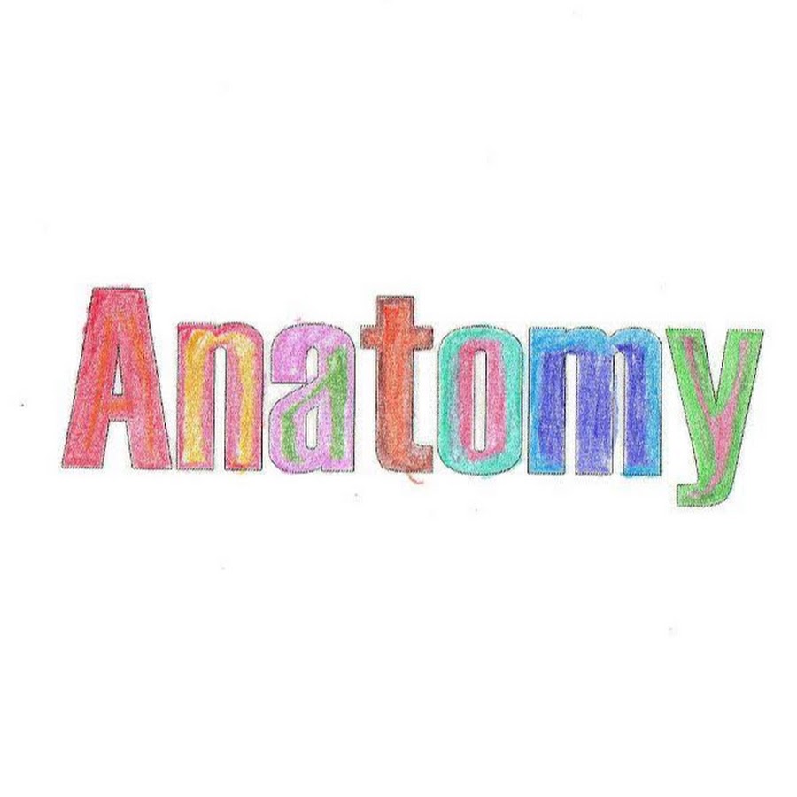Anatomy And Physiology YouTube