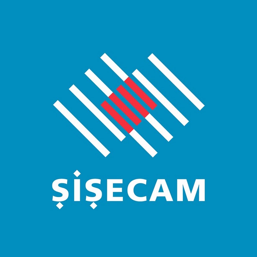 Toyota sisecam automotive