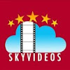 What could SkyVideos Telugu buy with $425.61 thousand?