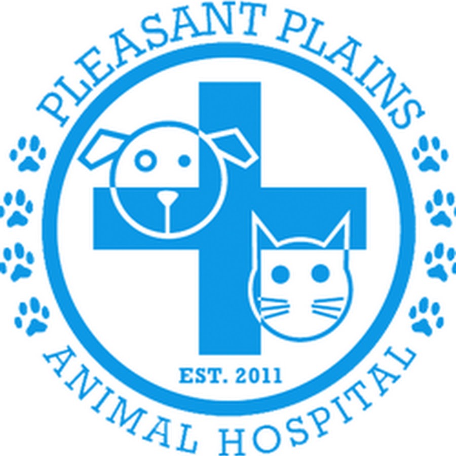 Pleasant Plains Animal Hospital YouTube