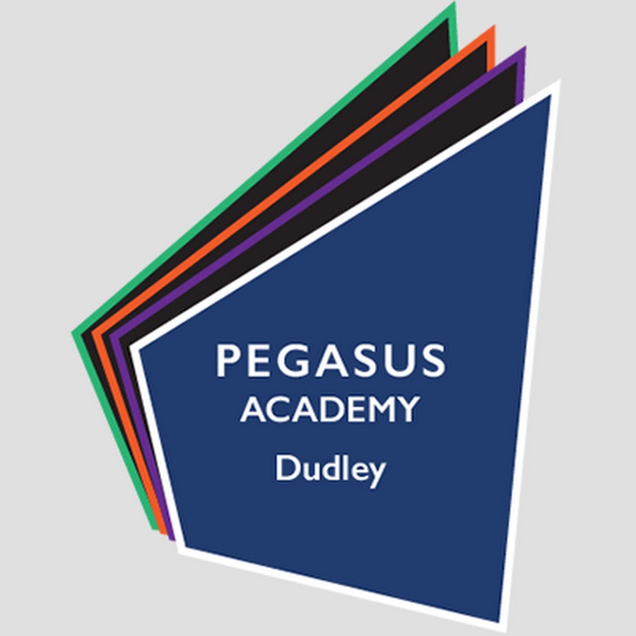 nike pegasus academy