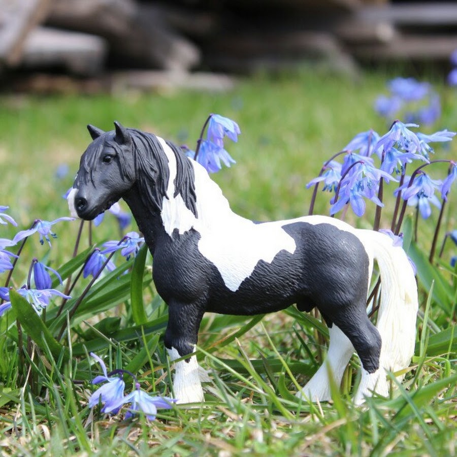 Лошади schleich фото на природе красивые
