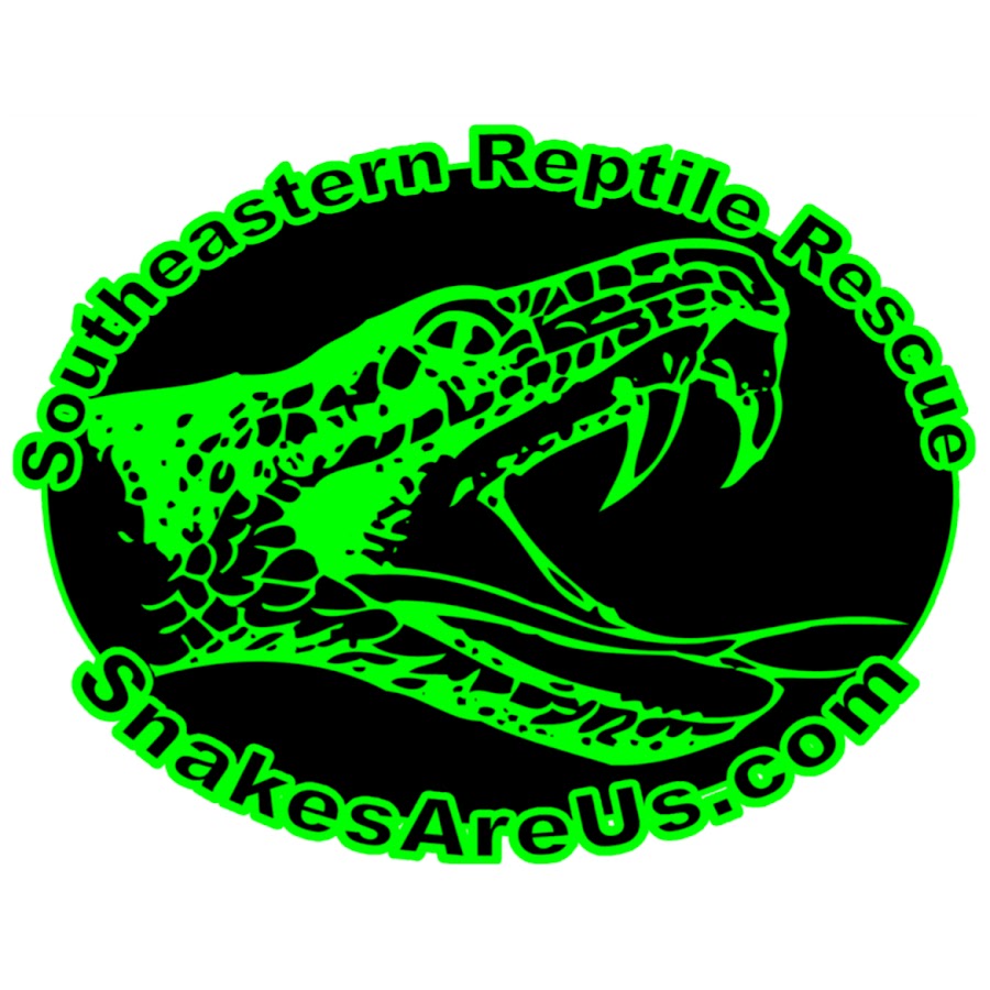 Southeastern Reptile Rescue YouTube