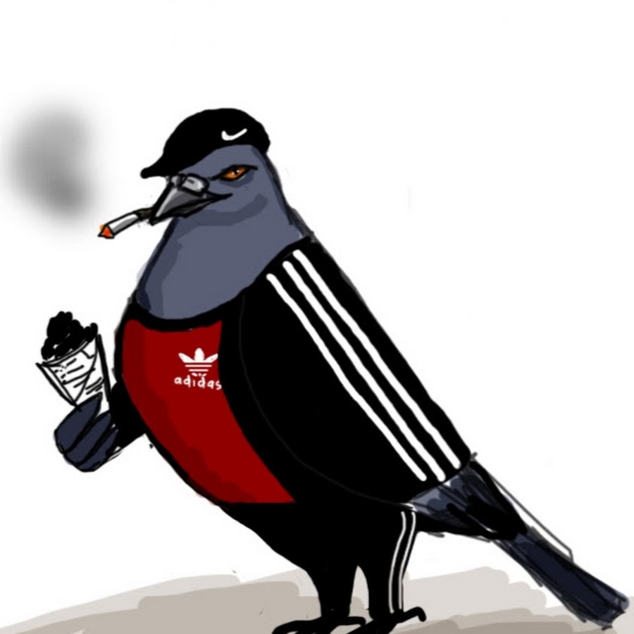 Мемный голубь рисунок