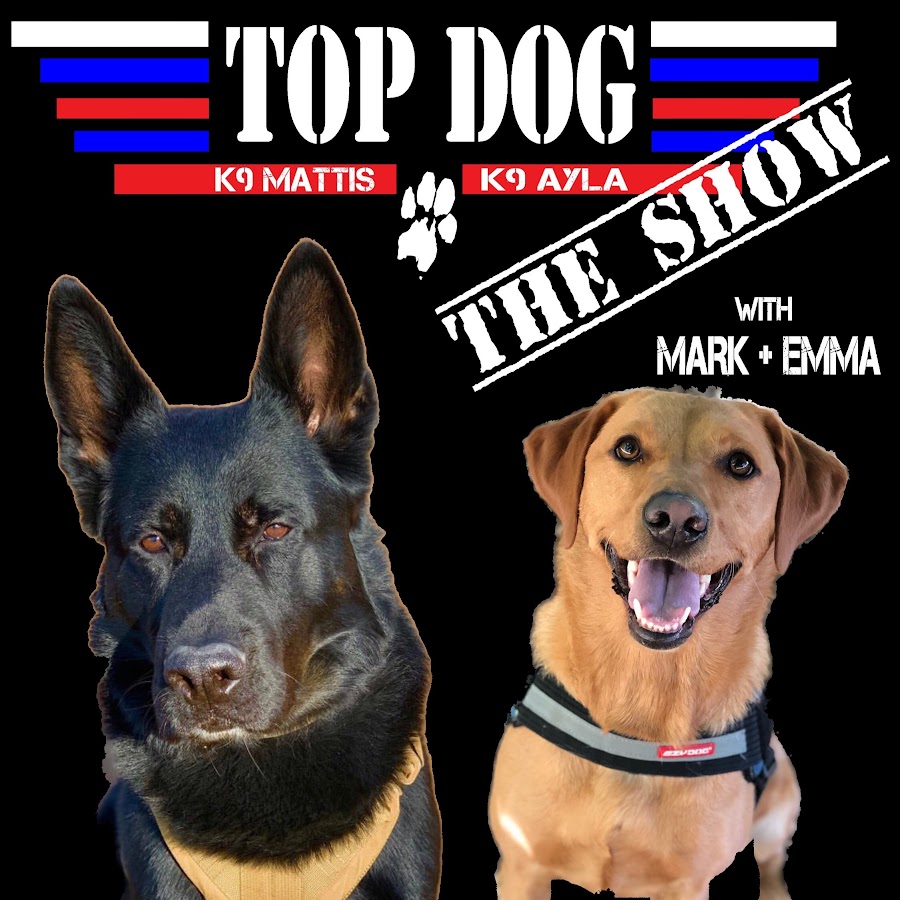 The Top Dog Show - YouTube