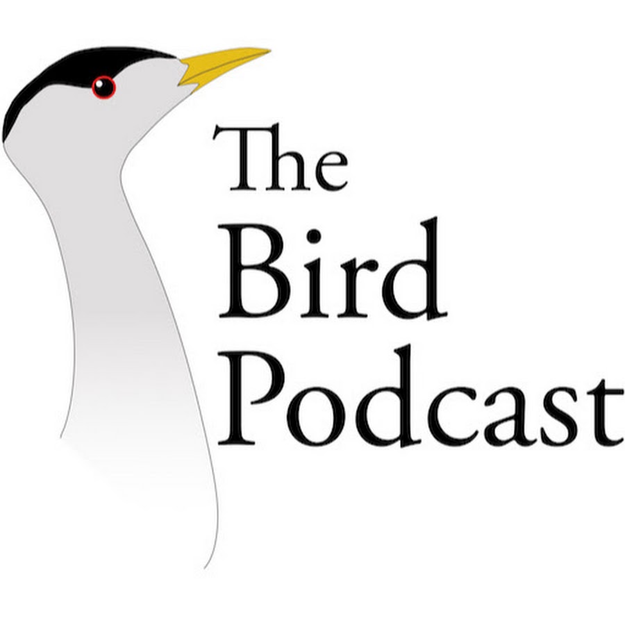 Bird Podcast 