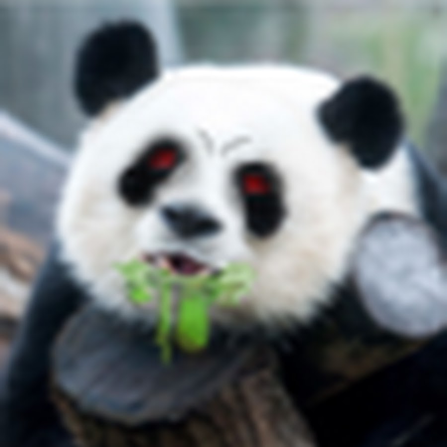 nike daybreak hg undercover