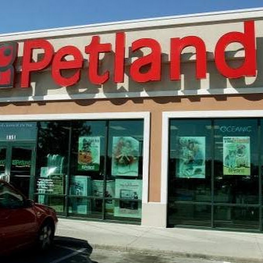 Petland Iowa City YouTube