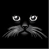 Starcatblack