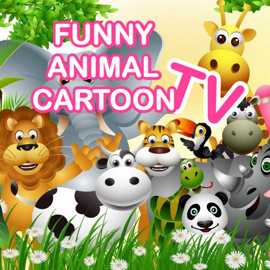 Funny Animal Cartoon TV 