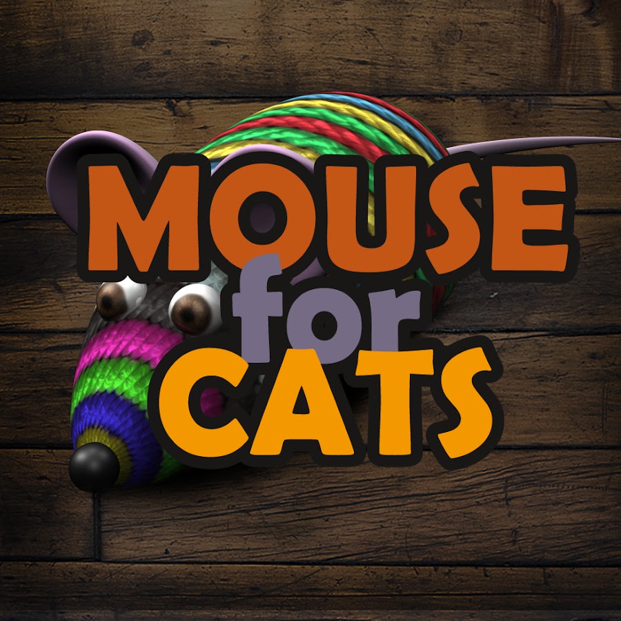 Mouse for Cats YouTube